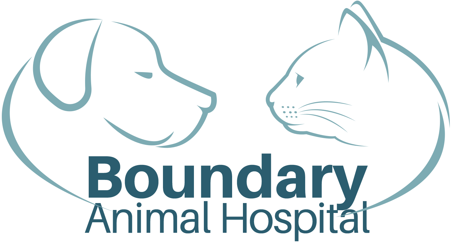 Boundary Animal Hospital